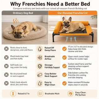 Komavic Elevated Dog Cot for All-Season Indoor Naps - Breathable Raised Pet Bed with Soft Bolsters for Cooler Rest & Easy Cleaning