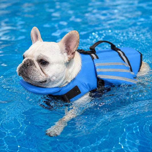 Komavic Dog Life Jacket Chin Float & Reflective Wings