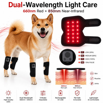 Komavic Rechargeable Dog Red Light Knee Wrap