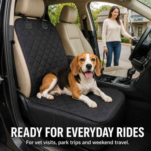 Paws in Awe Front Seat Pet Car Seat Cover with Seat Belt Tether - Passenger Seat Protector