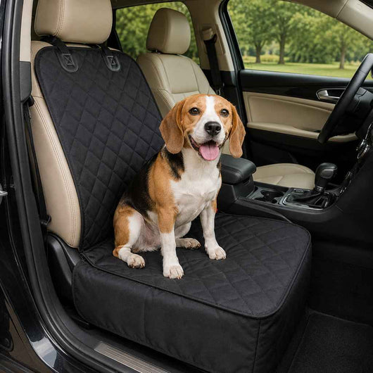 Paws in Awe Front Seat Pet Car Seat Cover with Seat Belt Tether - Passenger Seat Protector