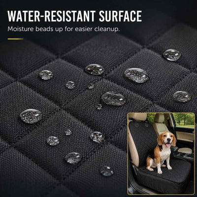 Paws in Awe Front Seat Pet Car Seat Cover with Seat Belt Tether - Passenger Seat Protector