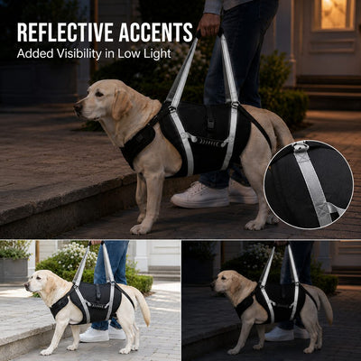 Komavic Full-Body Dog Lift Harness Senior Mobility Support