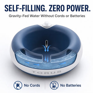 Komavic Cordless Self-Filling Pet Water Bowl