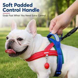 Komavic No-Choke French Bulldog Harness & Leash Set