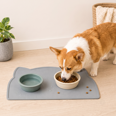 Raised-Edge Silicone Pet Feeding Mat with Spill Control