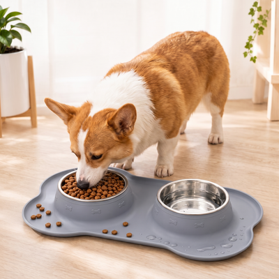 Spill-Proof Dual Pet Bowl with Raised Silicone Mat