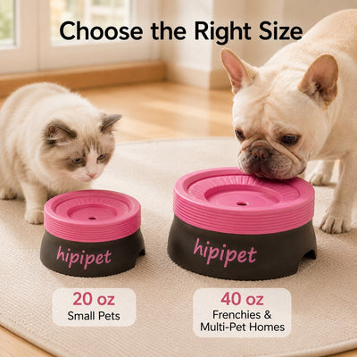 No-Drip Floating Water Bowl