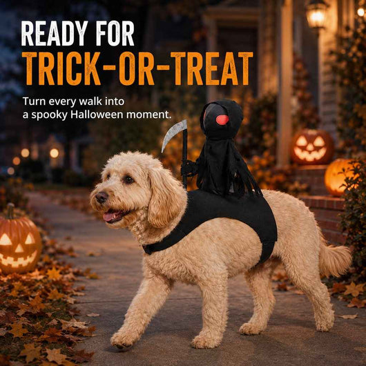 Paws in Awe Grim Reaper Rider Pet Costume – Adjustable 3D Halloween Outfit for Trick-or-Treat, Parties & Photos