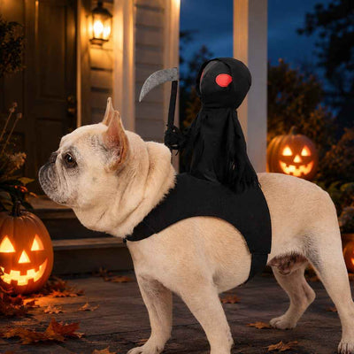 Paws in Awe Grim Reaper Rider Pet Costume – Adjustable 3D Halloween Outfit for Trick-or-Treat, Parties & Photos