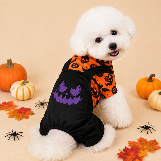 Komavic Halloween Dog Jumpsuit for Parties & Photos - Soft Pumpkin Pet Costume