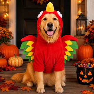 Komavic Halloween Turkey Costume for Dogs & Cats