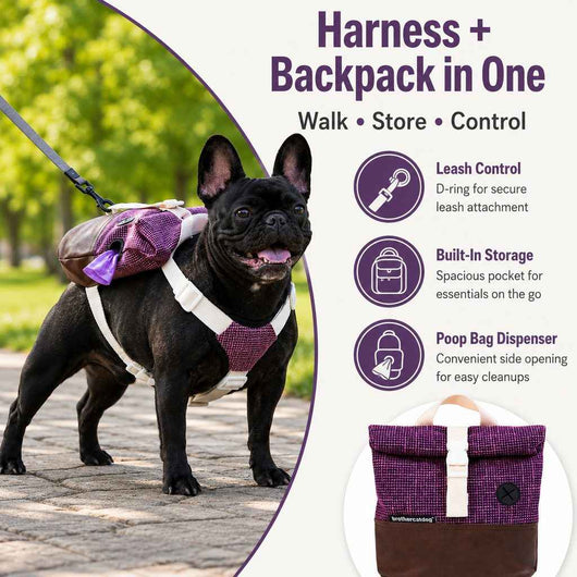 Paws in Awe Frenchie Adventure Backpack Harness for Daily Walks - Carry Poop Bags, Treats & Keys Without Neck Pulling