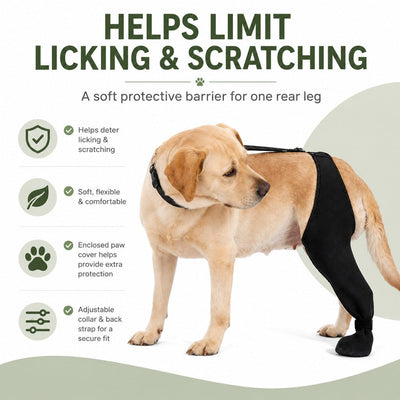 Adjustable Dog Rear Leg Recovery Sleeve with Paw Cover