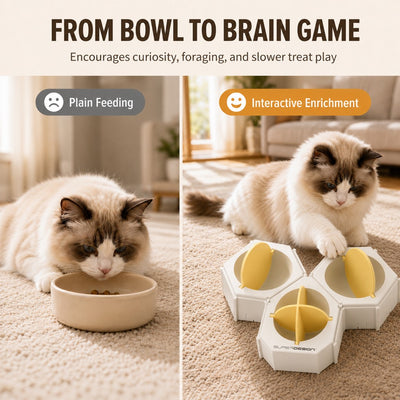 Modular Hexagon Cat Puzzle Feeder