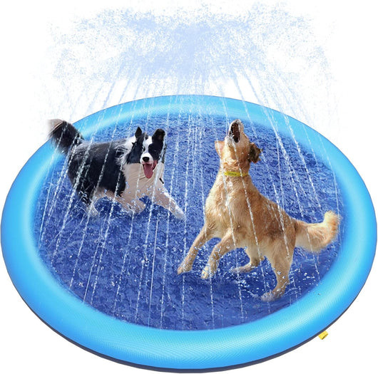 Two dogs playing on a blue inflatable sprinkler pad. komavic