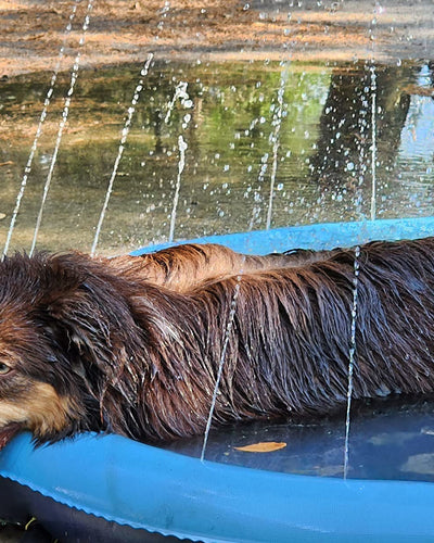 Customer testimonial video