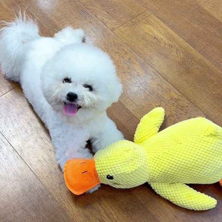 Komavic Quacking Duck Plush Dog Toy