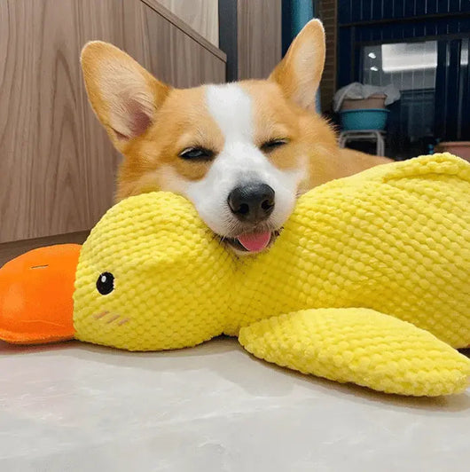 Komavic Quacking Duck Plush Dog Toy
