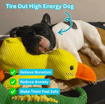 Komavic Quacking Duck Plush Dog Toy