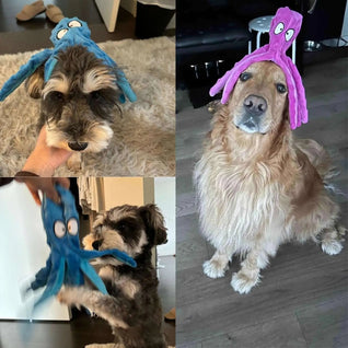 Komavic Squeaky Crinkle Octopus Dog Toy