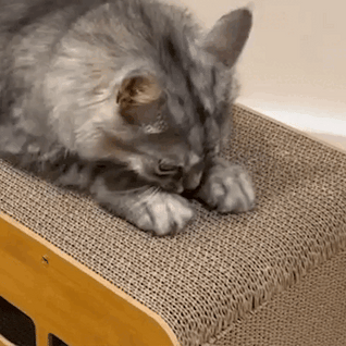 Komavic Wooden Cat Scratcher Bed