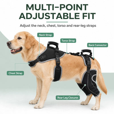Komavic Full-Body Dog Lift Harness