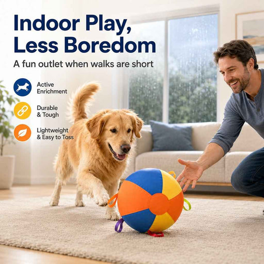 Paws in Awe Inflatable Dog Play Ball for Backyard & Indoor Play - Oversized Chase and Tug Toy to Burn Energy and Ease Boredom