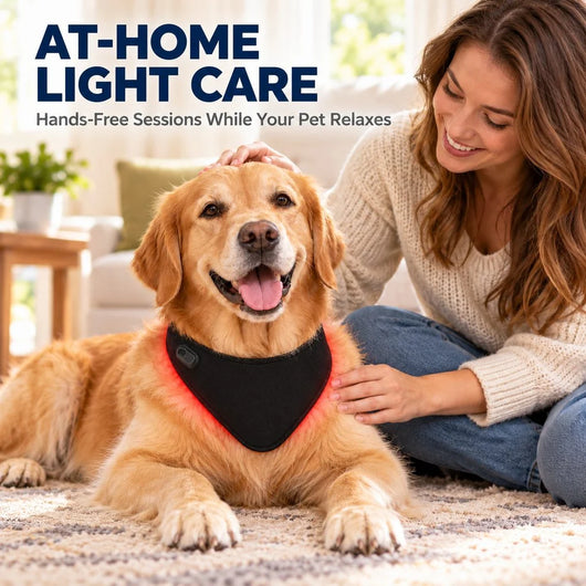 Komavic Dog Red Light Neck Wrap