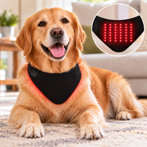 Komavic Dog Red Light Neck Wrap