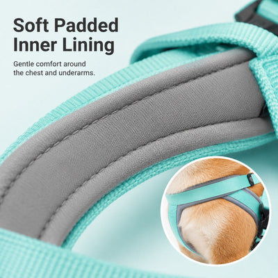 Komavic Quick-Fit Dog Harness & Leash Set