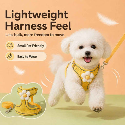 Paws in Awe Daisy Pet Harness & Leash Set for Daily Walks - Adjustable, Breathable Comfort for Small Dogs & Cats