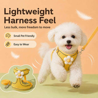 Komavic Daisy Pet Harness & Leash Set – Small Dogs & Cats