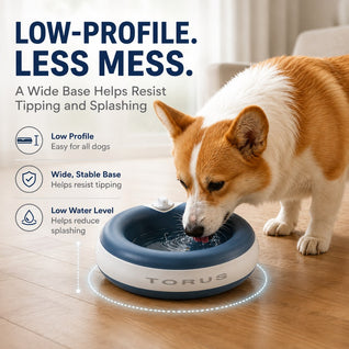 Komavic Cordless Self-Filling Pet Water Bowl