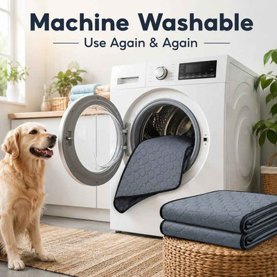 Paws in Awe Reusable Washable Pet Pee Pad for Cats & Dogs - Absorbent Non-Slip Floor Mat for Indoor Potty Training, Playpens & Crates