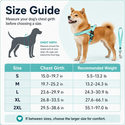 Komavic Quick-Fit Dog Harness & Leash Set