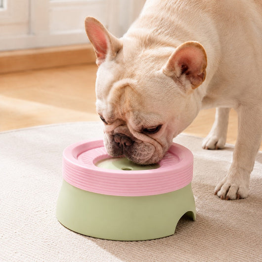 No-Drip Floating Water Bowl