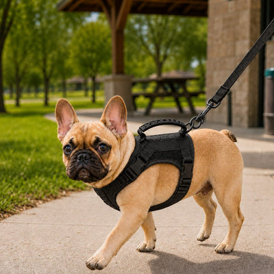 Komavic Mini Tactical Pet Harness Vest