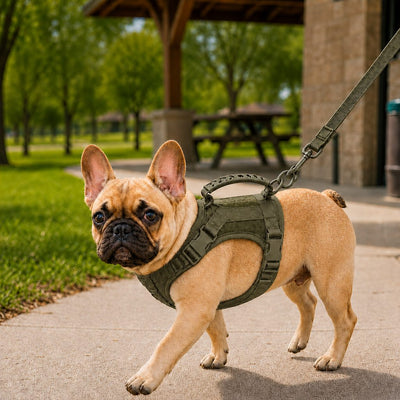 Komavic Mini Tactical Pet Harness Vest