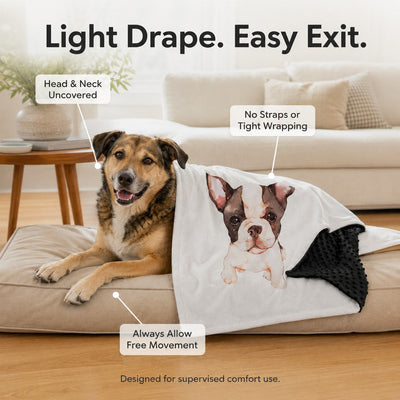 Komavic Pet Comfort Blanket Soft Weighted Rest Layer