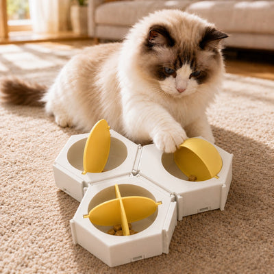 Modular Hexagon Cat Puzzle Feeder