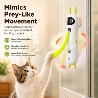 Motion-Activated Feather Cat Toy