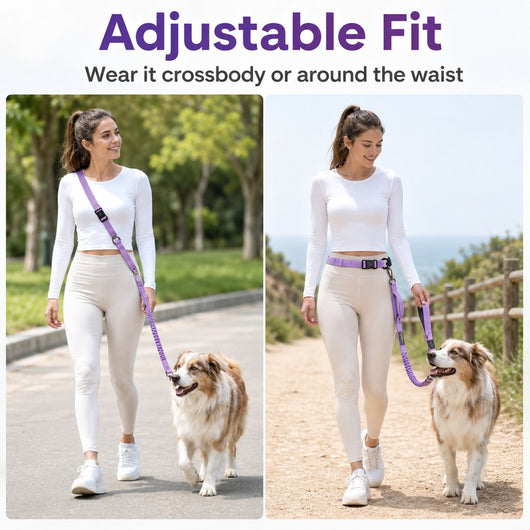 Hands-Free Shock-Absorbing Dog Leash for Running, Walking & Car Travel - Bungee Leash Helps Reduce Pulling