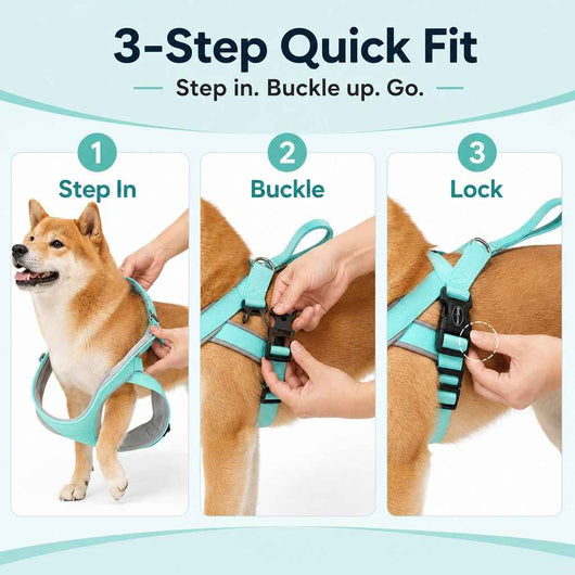Paws in Awe Quick-Fit Lightweight Dog Harness & Leash Set for Daily Walks - No-Choke Step-In Comfort with Secure Buckle & Back Control Handle