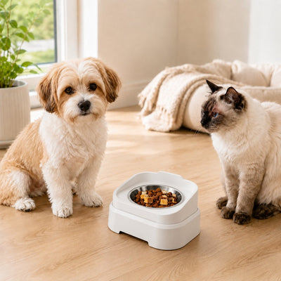 Elevated Slow Feeder Pet Bowl