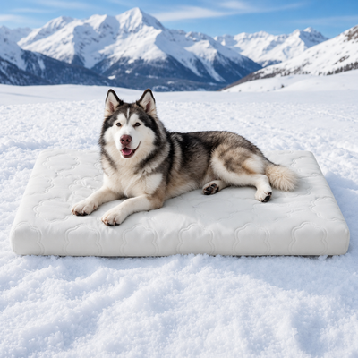 Komavic Cooling Orthopedic Dog Bed with Egg Crate Foam