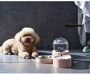 Komavic Gravity Pet Water Dispenser & Food Bowl