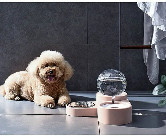 Komavic Gravity Pet Water Dispenser & Food Bowl