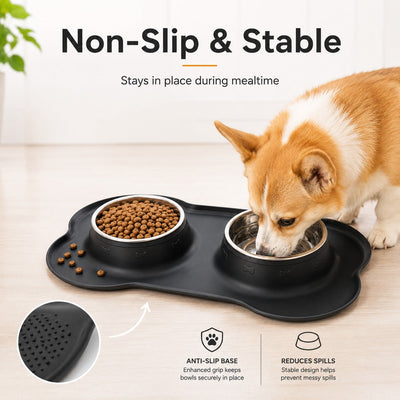 Spill-Proof Dual Pet Bowl with Raised Silicone Mat