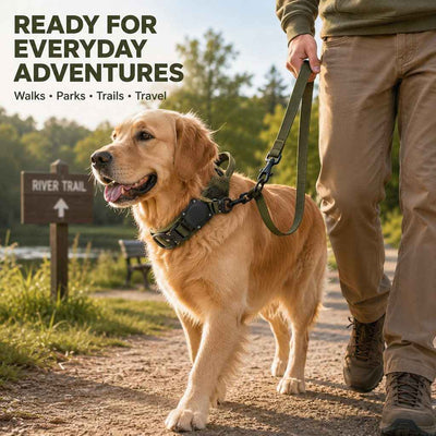 Paws in Awe AirTag-Compatible Tactical Dog Collar with Control Handle - Close Control for Walks, Trails & Busy Areas